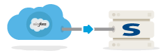 Salesforce to Oracle Siebel Account Migration icon